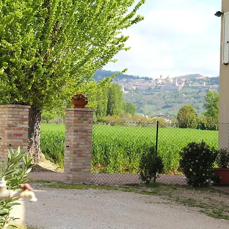 Il Turricone Bed & Breakfast 2*
